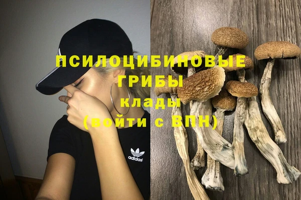 ALPHA PVP Каменка