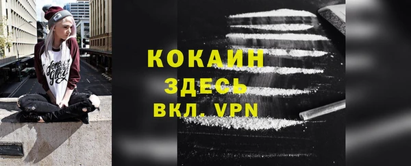 ALPHA PVP Каменка