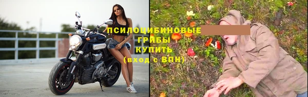 скорость Каменногорск