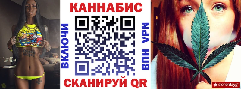 Бошки Шишки THC 21%  Купить закладки  Чкаловск 
